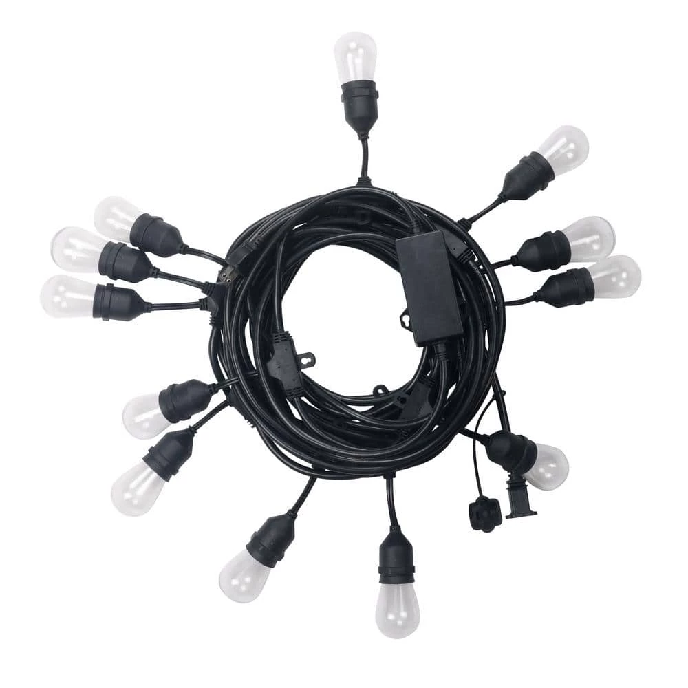12-Light 24 ft. Indoor/Outdoor Plug-In A-Shape Bulb LED String Light by Honeywell - Image 5