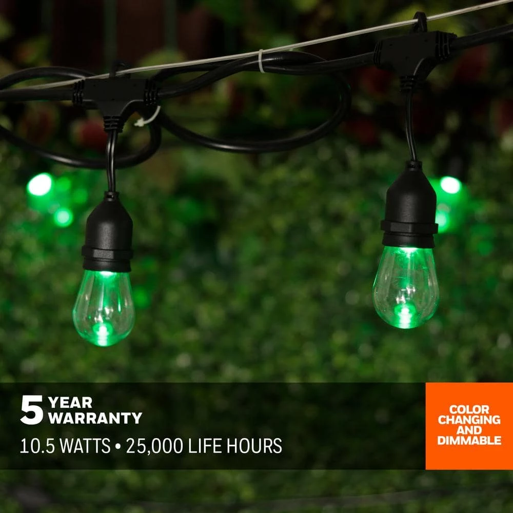 12-Light 24 ft. Indoor/Outdoor Plug-In A-Shape Bulb LED String Light by Honeywell - Image 6