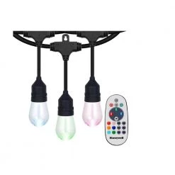 Outdoor/Indoor 48 ft. Plug-In Edison Bulb Color Changing LED String Lights with Remote Control by Honeywell