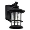 6 in. W 1-Light Matte Black Wall Sconce with Seed Glass Shade by Tatahance